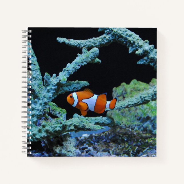 Carnet Poisson clown en corail (Devant)