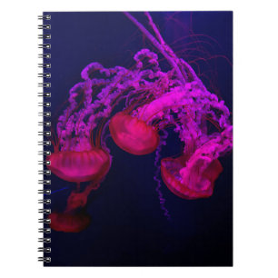 CARNET POISSON DE JELLES ROSES SOUS LA MER