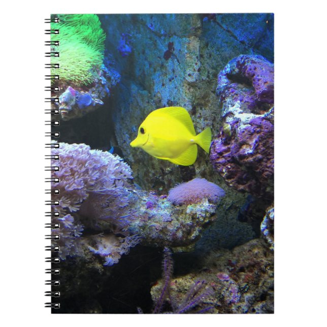 Carnet Poisson jaune (Devant)