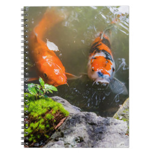 Carnet Poisson Koi dans un étang