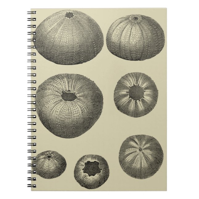 Carnet Poisson noir et blanc (Devant)