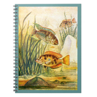 Carnet Poissons de Cichlid