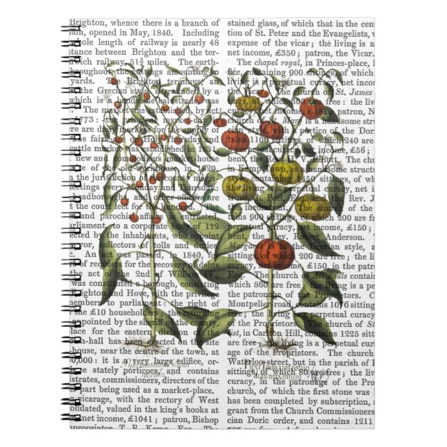 Carnet Poivrons 4 (Devant)