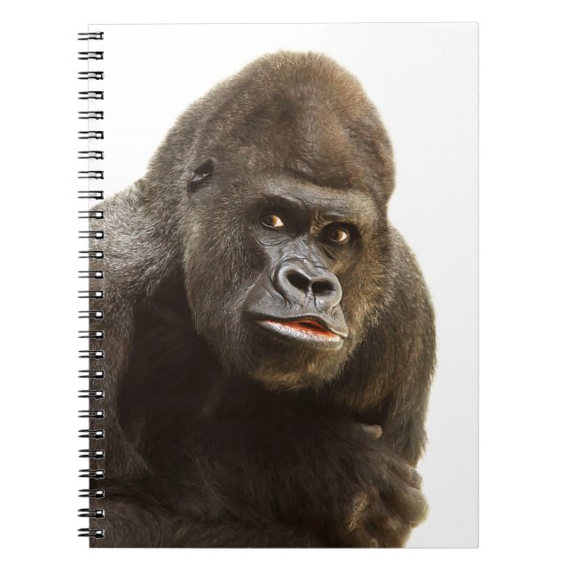 Carnet Pomme de Gorille (Devant)