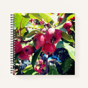 Carnet Pommes de crabe sur un arbre