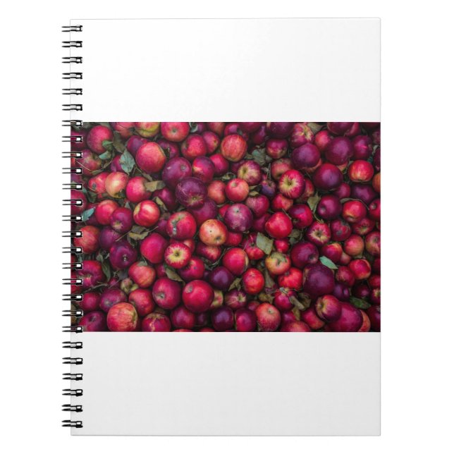 Carnet Pommes rouges (Devant)