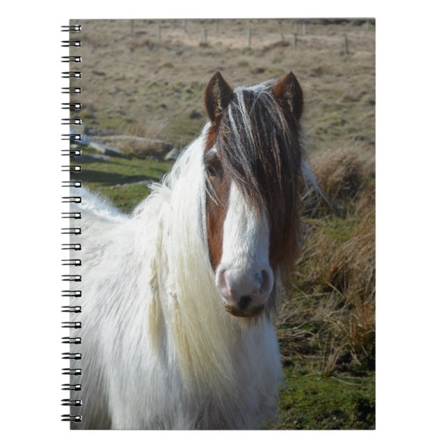 Carnet Poney doux de Connemera (Devant)
