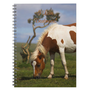 Carnet Poney sauvage adorable sur Dartmoor