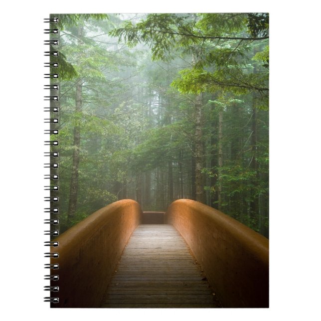 Carnet Pont de forêt de séquoia (Devant)
