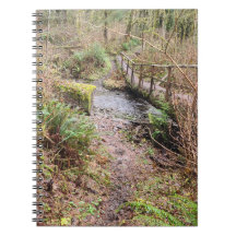 Pont de journalisation