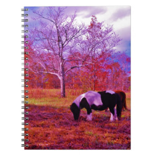 Carnet PONY dans un champ de couleur PLANCHE