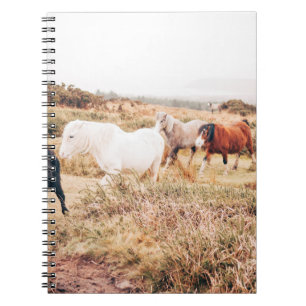 CARNET PONY HERD DANS L'AUTOMNE