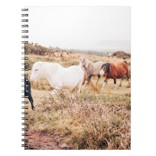 CARNET PONY HERD DANS L'AUTOMNE (Devant)