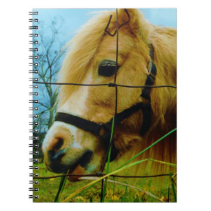 Carnet Pony miniature blond / Cheval Ciel bleu
