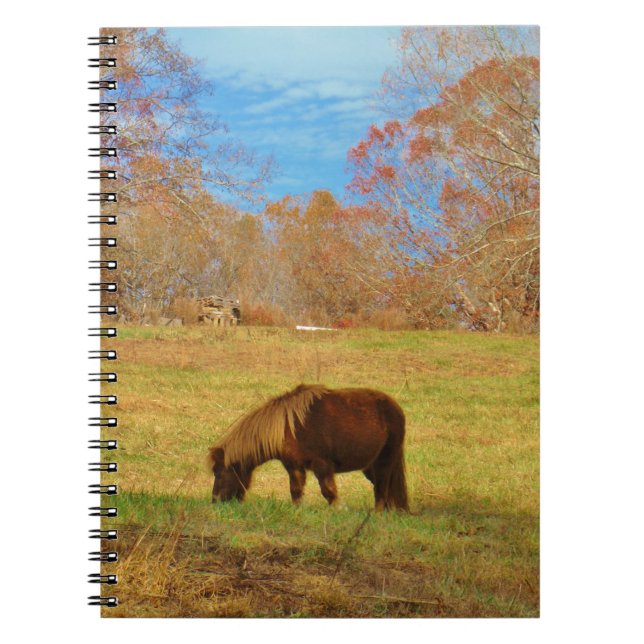 Carnet Pony miniature Brown (Devant)
