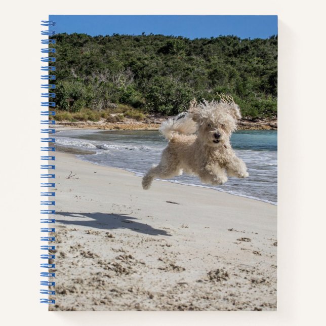 Carnet Poodle Spiral Notebook (Devant)