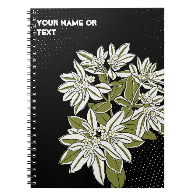 Carnet Pop Art Euphorbia 'Snow-on-the-Mountain Paradox (Devant)