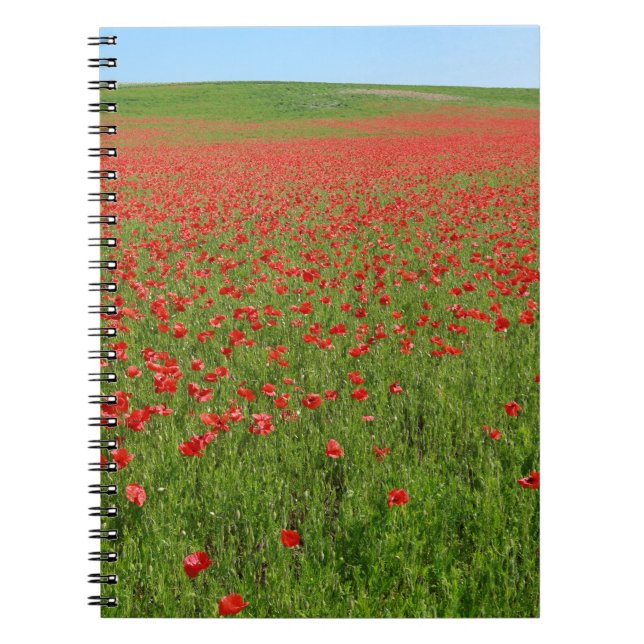 Carnet Poppies alive ! (Devant)
