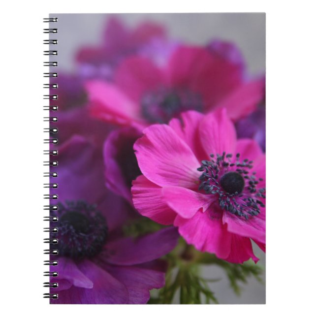 Carnet portable anemones (Devant)