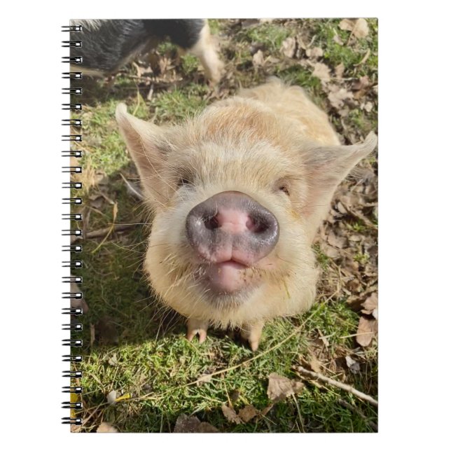 Carnet Portable Mona Daisies (Devant)