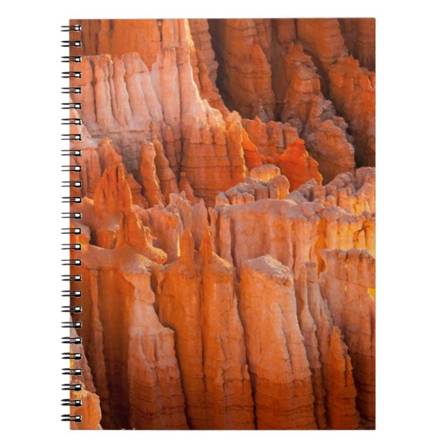Carnet Porte-malheurs de roche dans la lumière de matin (Devant)