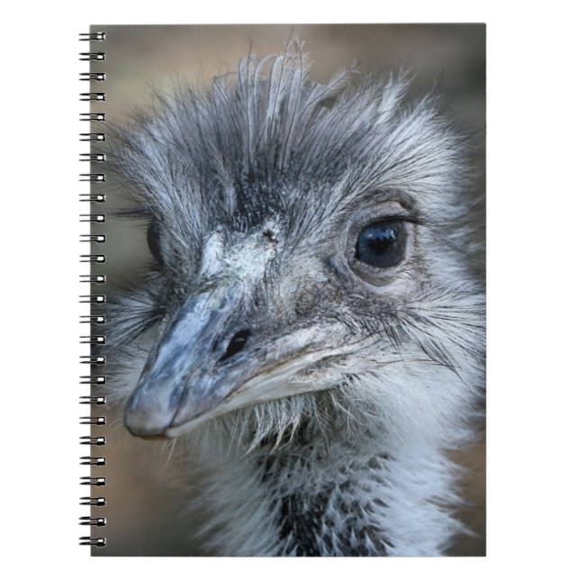 Carnet Portrait américain de nandou (Devant)