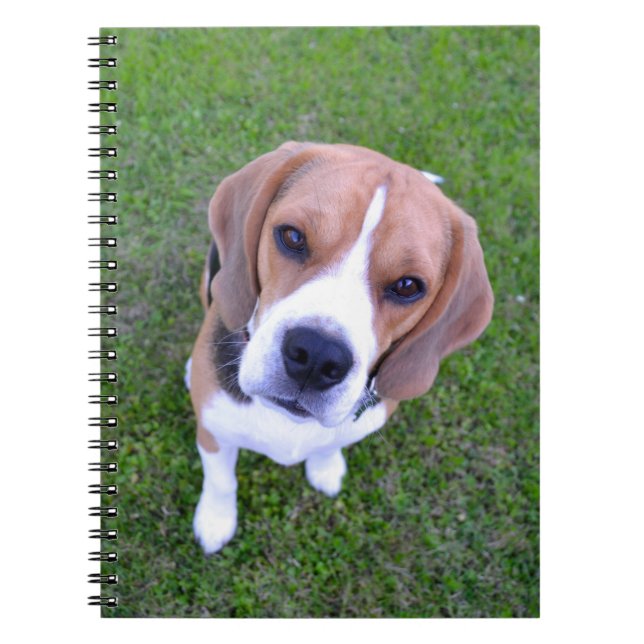 Carnet Portrait Beagle (Devant)