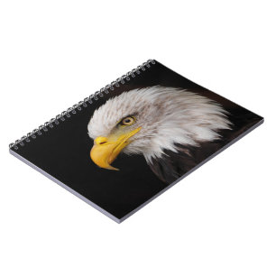 Carnet Portrait d'aigle