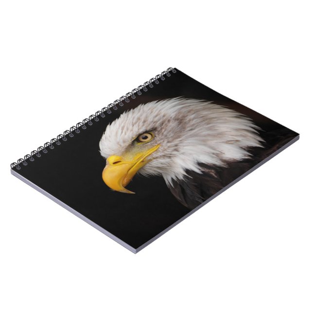 Carnet Portrait d'aigle (Côté gauche)