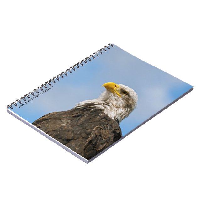Carnet Portrait d'aigle à tête blanche Art animalier (Côté gauche)