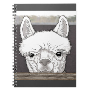 Carnet Portrait d'Alpaca
