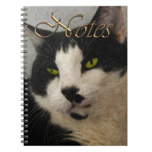 Carnet Portrait d'art chat noir et blanc