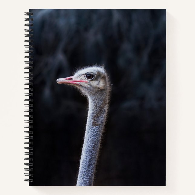Carnet portrait d'autruche (Devant)