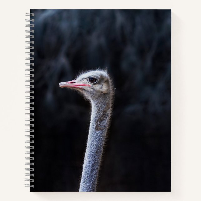 Carnet portrait d'autruche (Devant)