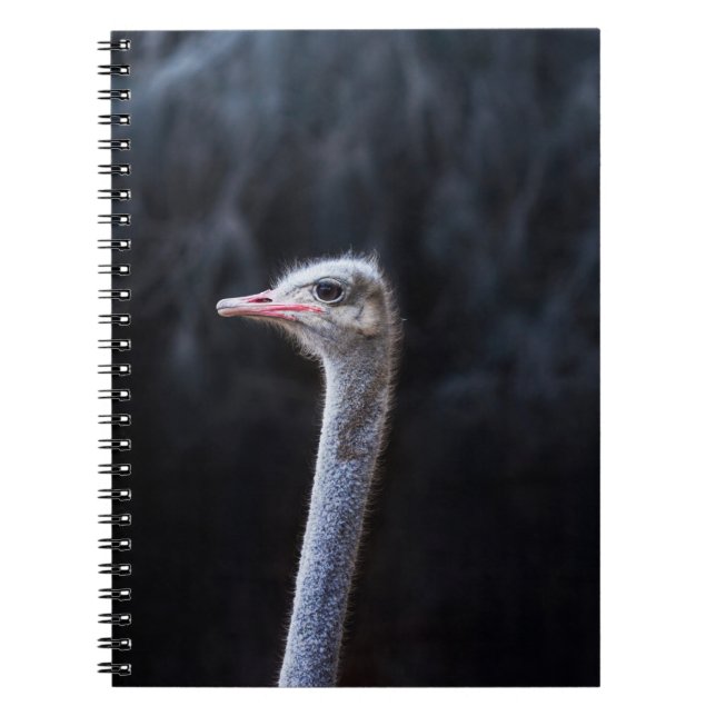 Carnet portrait d'autruche (Devant)