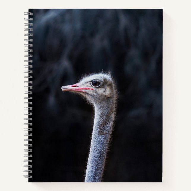 Carnet portrait d'autruche (Devant)