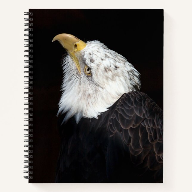 Carnet Portrait de Bald Eagle (Devant)