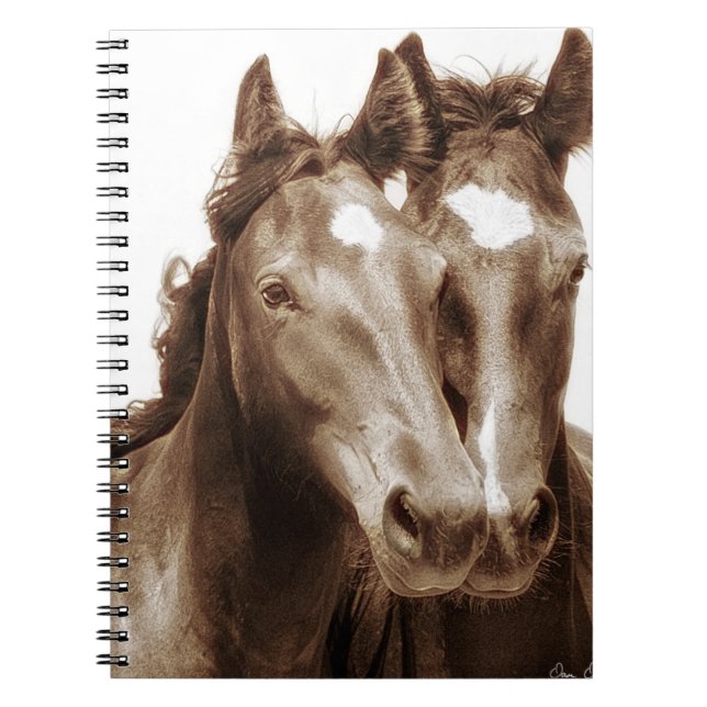Carnet Portrait de cheval III (Devant)