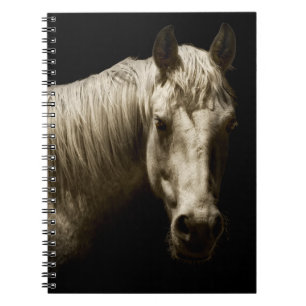 Carnet Portrait de cheval VI