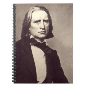 Carnet Portrait de Franz Liszt