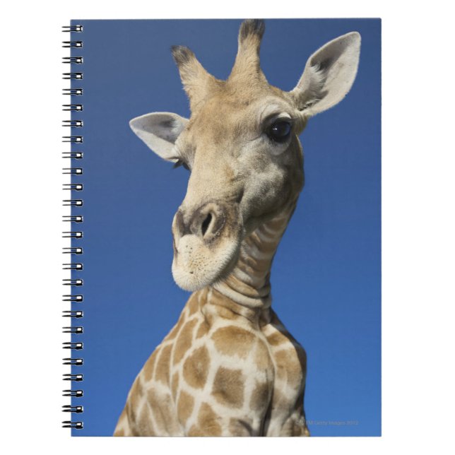 Carnet Portrait de girafe (Giraffa Camelopardalis) (Devant)