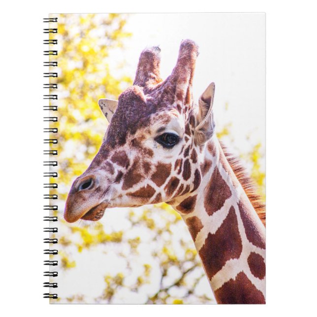 Carnet Portrait de Giraffe (Devant)