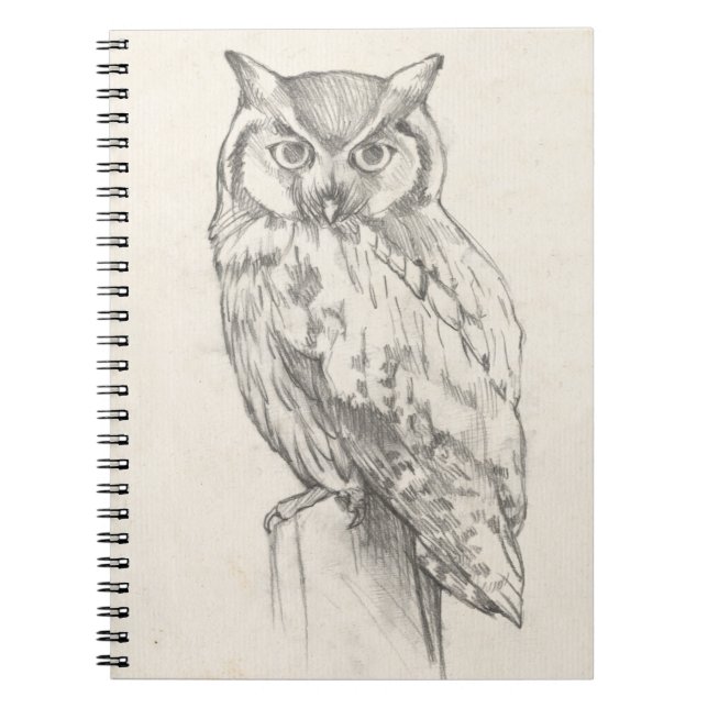 Carnet Portrait de hibou - Croquis (Devant)