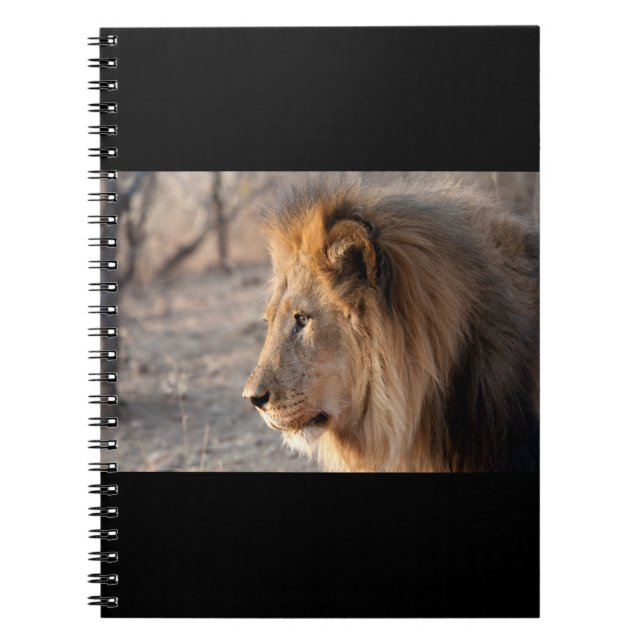 Carnet Portrait de Lion (Devant)