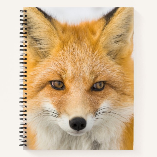 Carnet Portrait de renard roux (Devant)