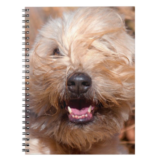 Carnet Portrait de Terrier Wheaten à poil doux (Devant)