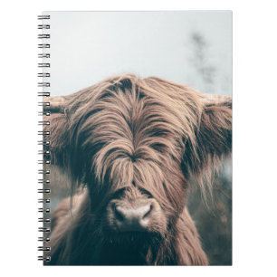 Carnet Portrait de vache Highland