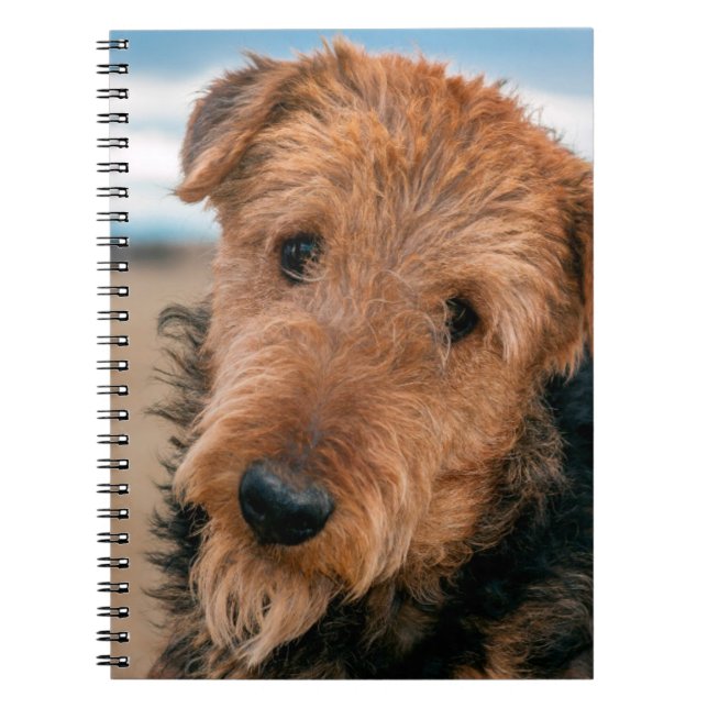 Carnet Portrait d'un Airedale Terrier (Devant)