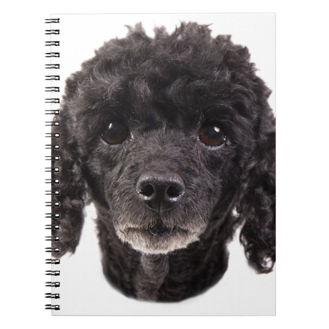 Carnet Portrait d'un caniche noir (Devant)