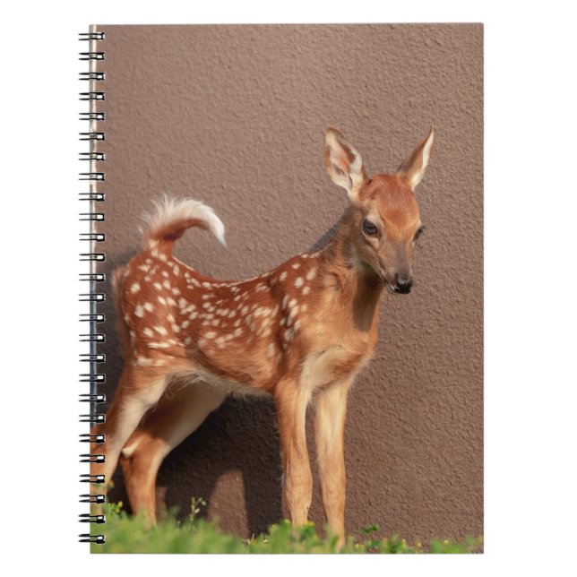 Carnet Portrait d'un faon (cerf de Virginie) (Devant)